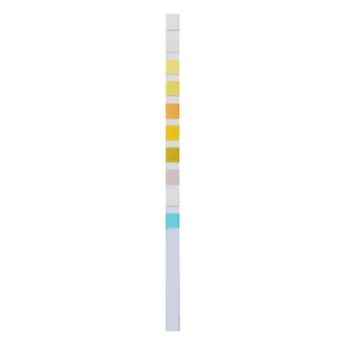 Home Laboratory URS 10 Allgemeine Urinanalyse Heimtest, 2 St.