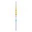 Home Laboratory URS 10 Allgemeine Urinanalyse Heimtest, 2 St.