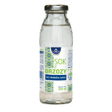 Birch fruit juice, without added sugar, 300 ml