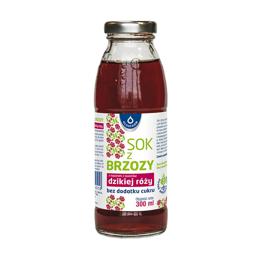 Buy Birch fruit juice with rosehip infusion, no added sugar, 300 ml Birch fruit juice with rosehip infusion, no added sugar, 300 ml