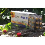 Olimp Gold-Vit B Forte, 60 Filmtabletten Olimp Gold-Vit B Forte, 60 Filmtabletten