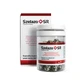 IJzer + SR, 60 capsules met vertraagde afgifte