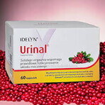 Urinoir, 60 capsules Urinoir, 60 capsules