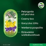 Sinulan Forte, 60 tabletten