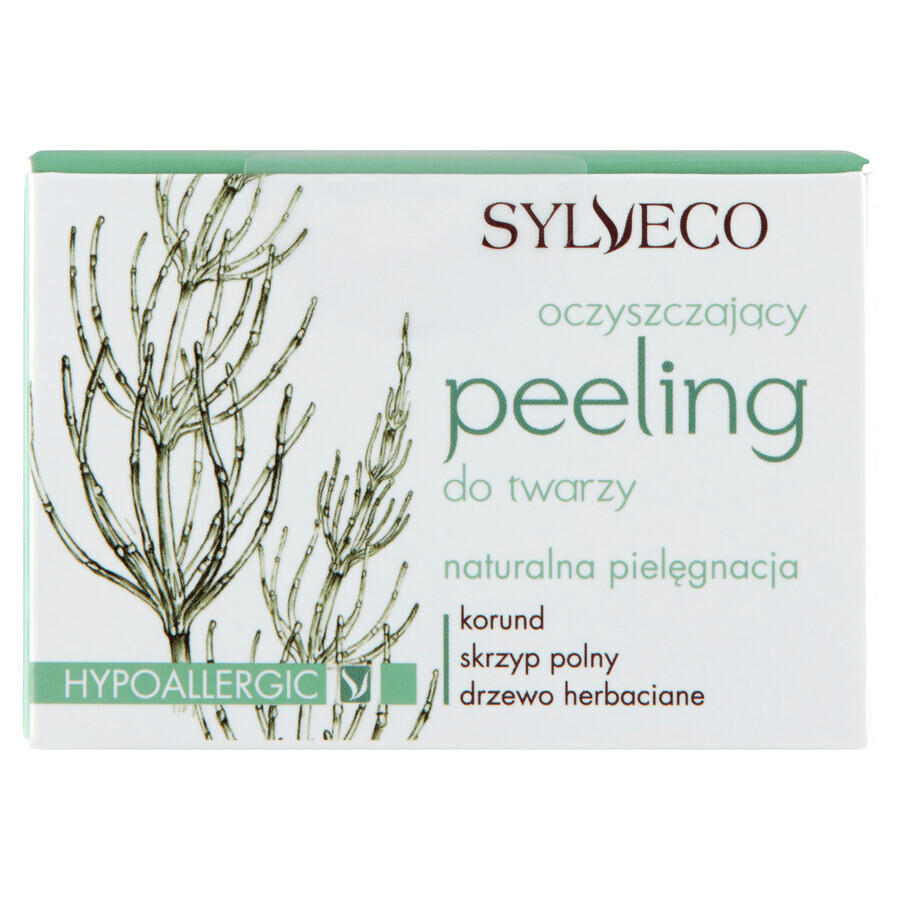 Winkel op Sylveco, reinigende gezichtsscrub, 75 ml Sylveco, reinigende gezichtsscrub, 75 ml