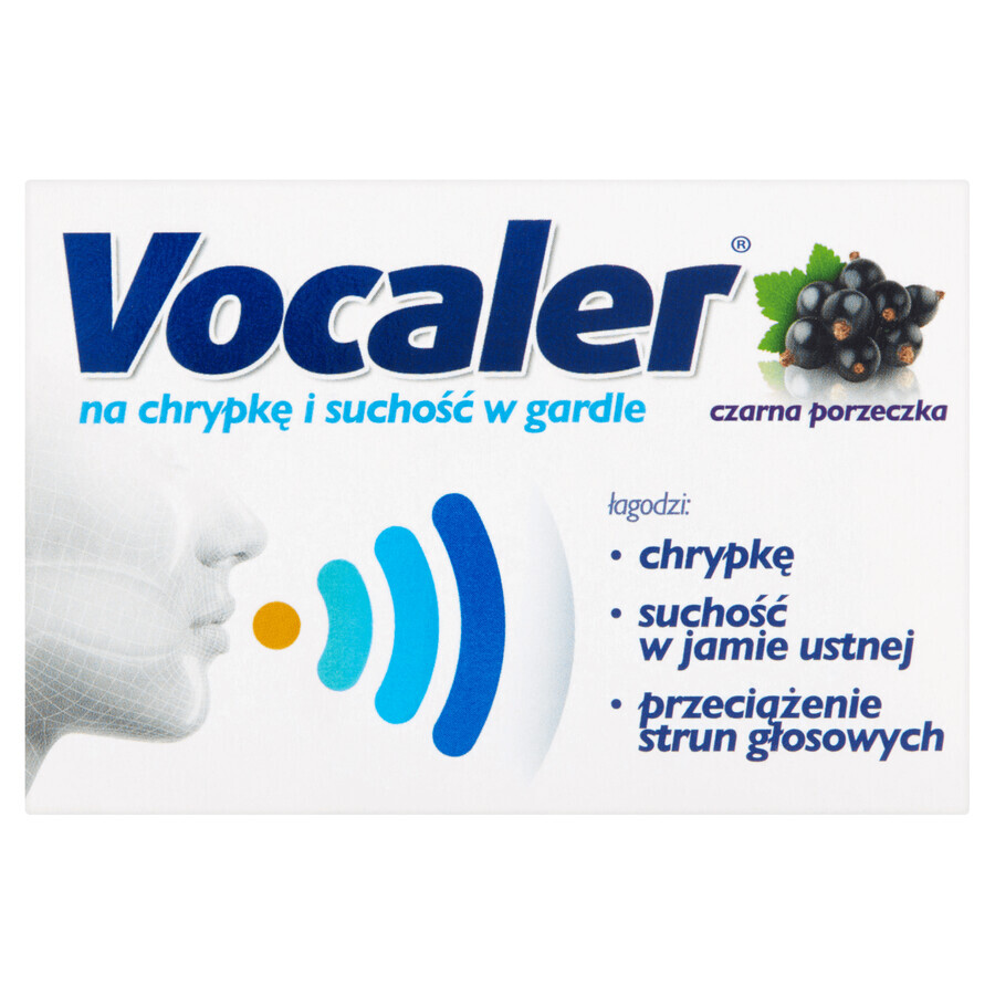 Boutique Vocaler, cassis, 12 pastilles Vocaler, cassis, 12 pastilles