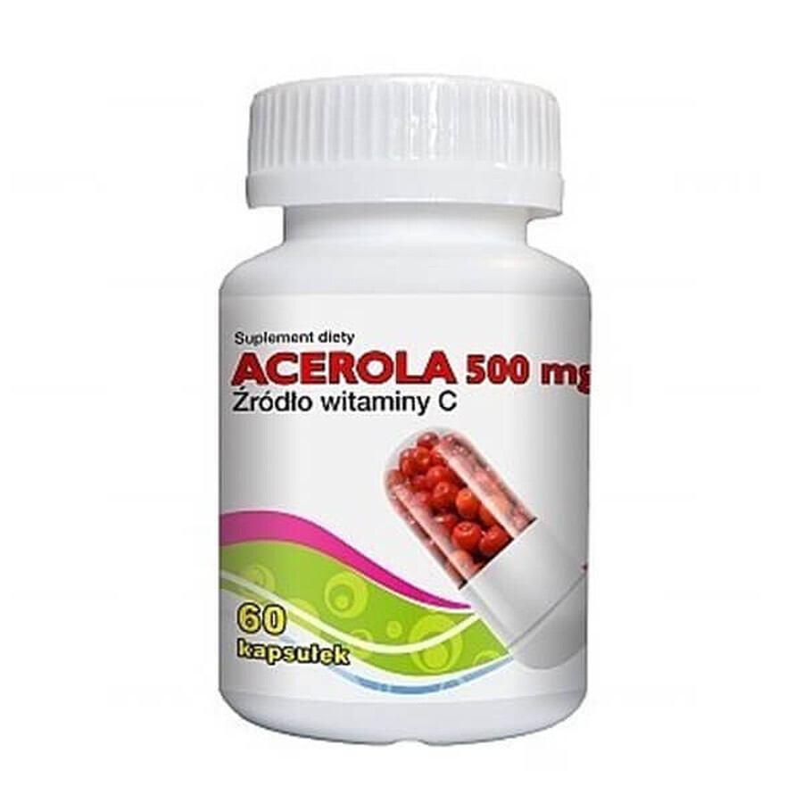 Buy GorVita Acerola, 60 capsules GorVita Acerola, 60 capsules