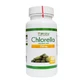 Reines Bio Chlorella Tabletten - Vitalitätsboost aus Chlorella vulgaris, 400 Stück, Premium Algen Tabletten für Wohlbefinden und Vitalität.