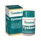 Himalaya Cystone, 100 tablets