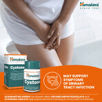Himalaya Cystone, 100 tabletten Himalaya Cystone, 100 tabletten