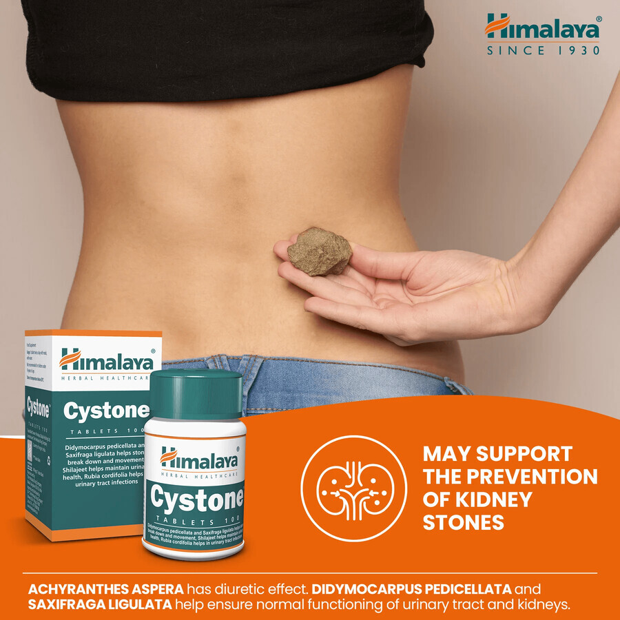 Himalaya Cystone, 100 tabletten