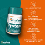 Himalaya Cystone, 100 tabletten Himalaya Cystone, 100 tabletten