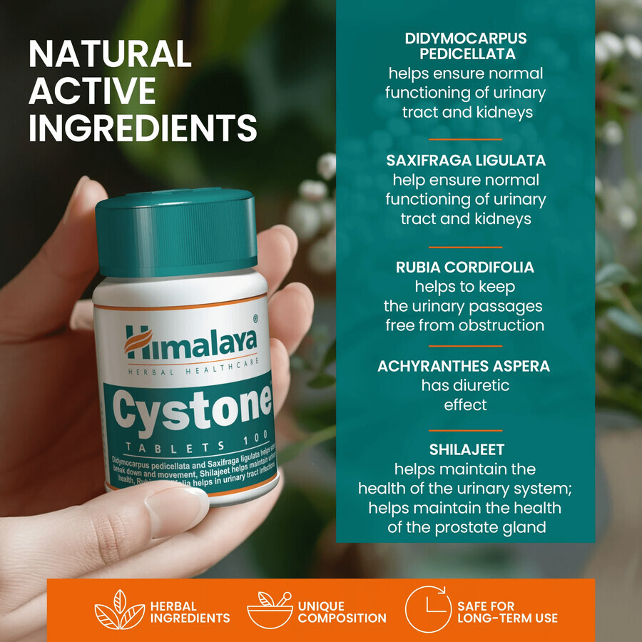 Himalaya Cystone, 100 tabletten