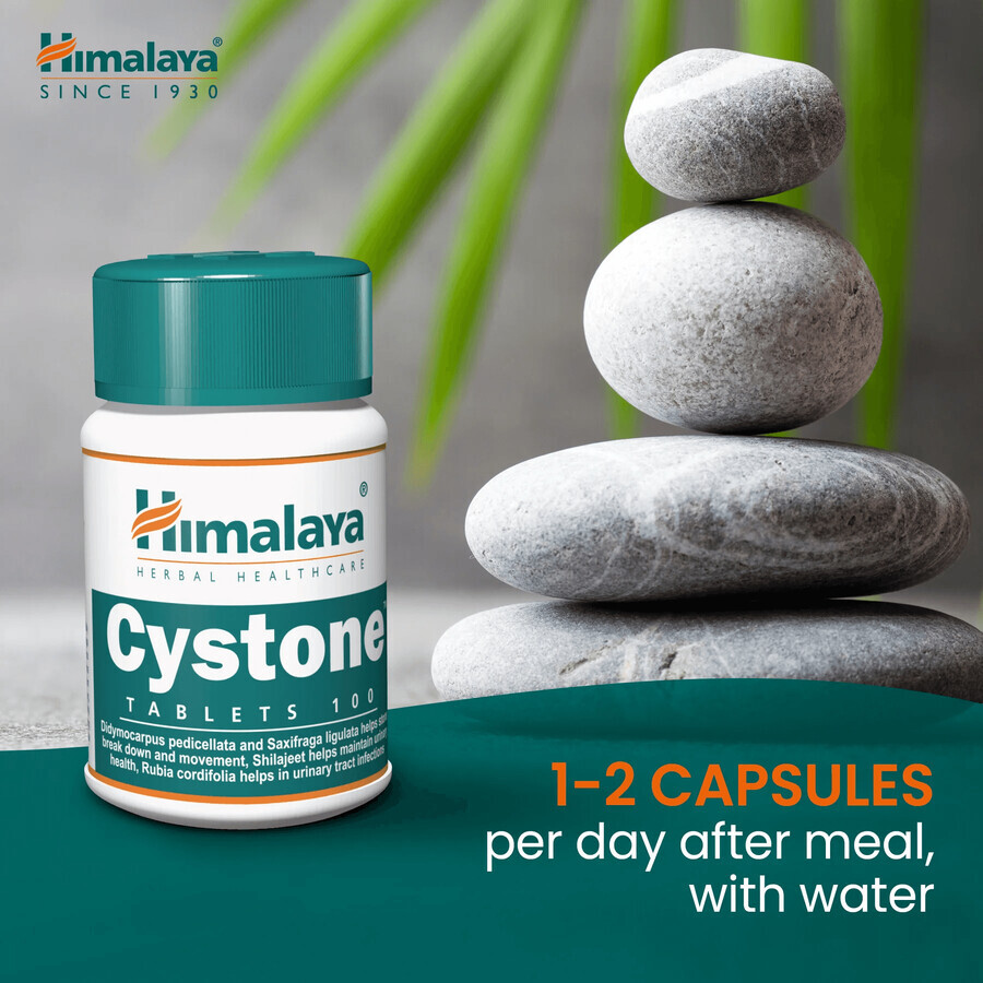 Himalaya Cystone, 100 tabletten