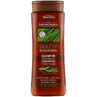 Joanna Tradycyjna Recipe, Strengthening Shampoo, Horsetail and Rosemary, 300 ml