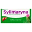 Silymarin Tabletten van Wadowice, 30 tabletten