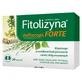 Phytolysin Nefrocaps Forte, 30 capsules PACKAGED PACKAGING Damaged PACKAGING