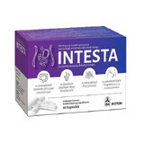 Intestine, 60 capsules