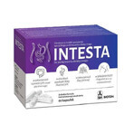 Intesta, 60 Kapseln Intesta, 60 Kapseln