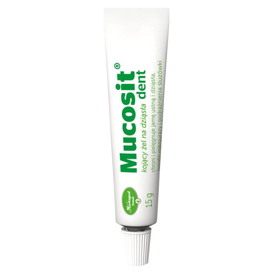 Shop Gingium Gel für Zahnfleisch, 15 g Gingium Gel für Zahnfleisch, 15 g