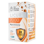 Curcumin Capsules with Vitamin D, Licur 7000, 30 capsules Curcumin Capsules with Vitamin D, Licur 7000, 30 capsules