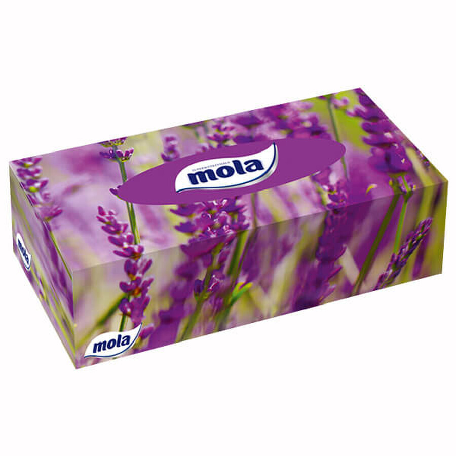 Boutique Mola Big Box, mouchoirs en papier, 120 pièces Mola Big Box, mouchoirs en papier, 120 pièces