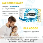 Nebutac 3 Inhalationslösung, 3%, 30 Ampullen x 4 ml