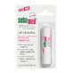 Dermatological protective lip balm with SPF 30, 4.8 g, Sebamed