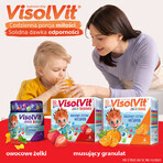 Visolvit Junior Erdbeer 30 Sachets Visolvit Junior Erdbeer 30 Sachets