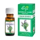 Etja, aceite esencial de salvia natural, 10 ml