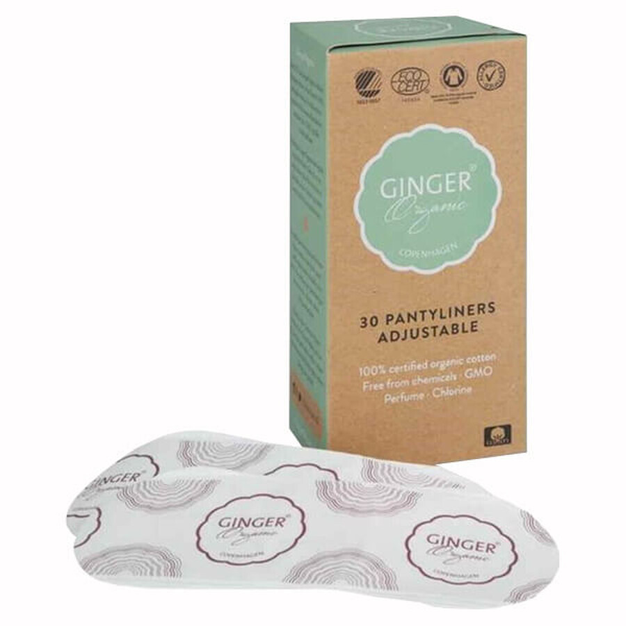 Comprar GingerOrganic, compresas higiénicas, 30 unidades GingerOrganic, compresas higiénicas, 30 unidades