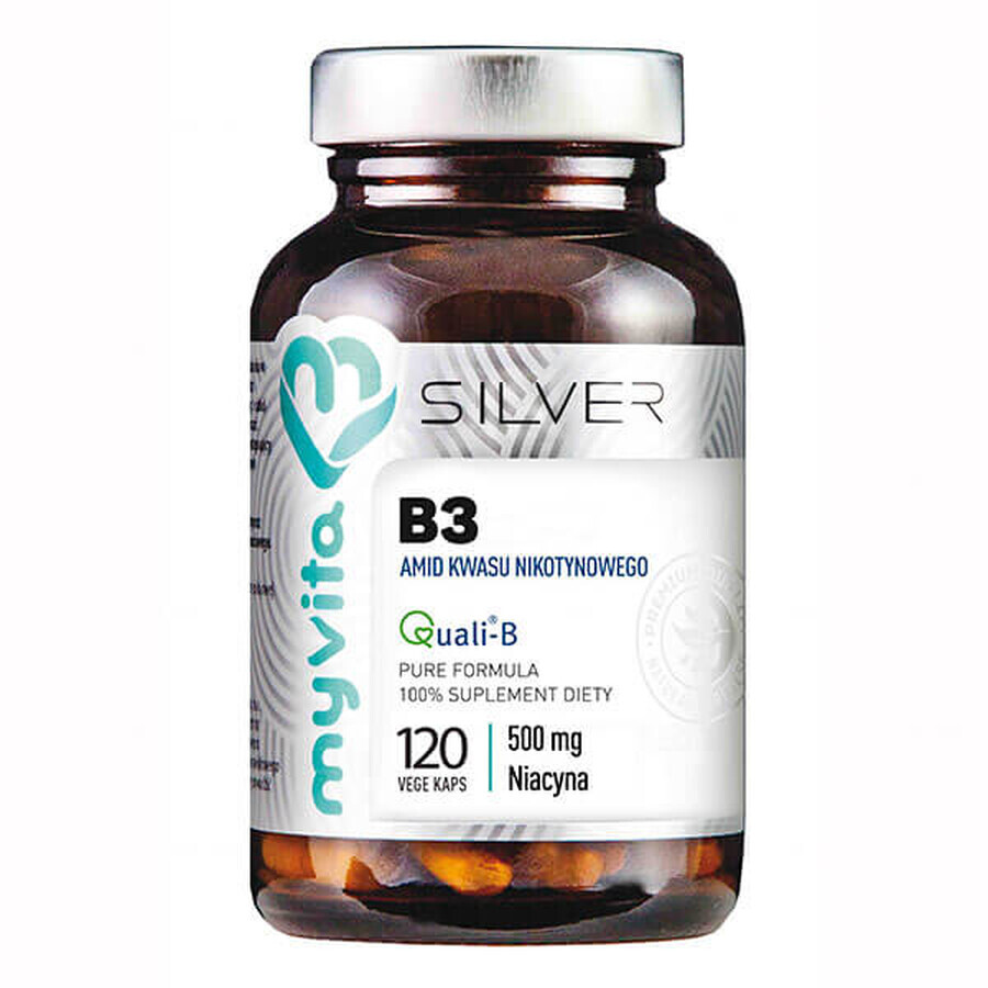 Acquista ArgentoVita Plus, Integratore di Vitamina B3 con Acido Nicotinico, 120 Capsule ArgentoVita Plus, Integratore di Vitamina B3 con Acido Nicotinico, 120 Capsule