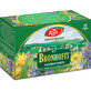 Bronhofit tea, 20 sachets, Fares