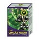 Blackcurrant Tea Leaves, 100 g, Hypericum