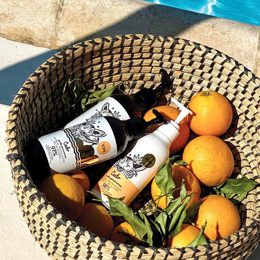 Acquista Yope, Balsamo per il Corpo e le Mani al Cedro e Arancia Amara, 300 ml Yope, Balsamo per il Corpo e le Mani al Cedro e Arancia Amara, 300 ml