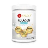 Yango Collageen type I en III, 300 g