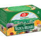 Gall Bladder Tea, 20 sachets, Fares
