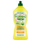 Morning Fresh Lemon, l&#237;quido lavavajillas concentrado, 900 ml