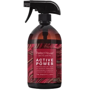 Perfect House Active Power Heavy Duty Dirt Liquid 480 ml