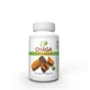 Chaga 450 mg + Vitamina C, 60 cápsulas, Justin Pharma