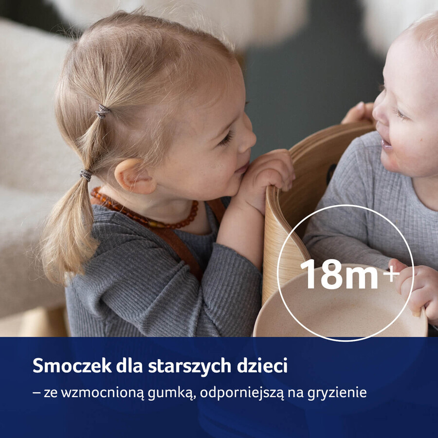Comprar Lovi Night & Day, chupete, silicona, dinámico, Niño, a partir de 18 meses, 2 piezas Lovi Night & Day, chupete, silicona, dinámico, Niño, a partir de 18 meses, 2 piezas