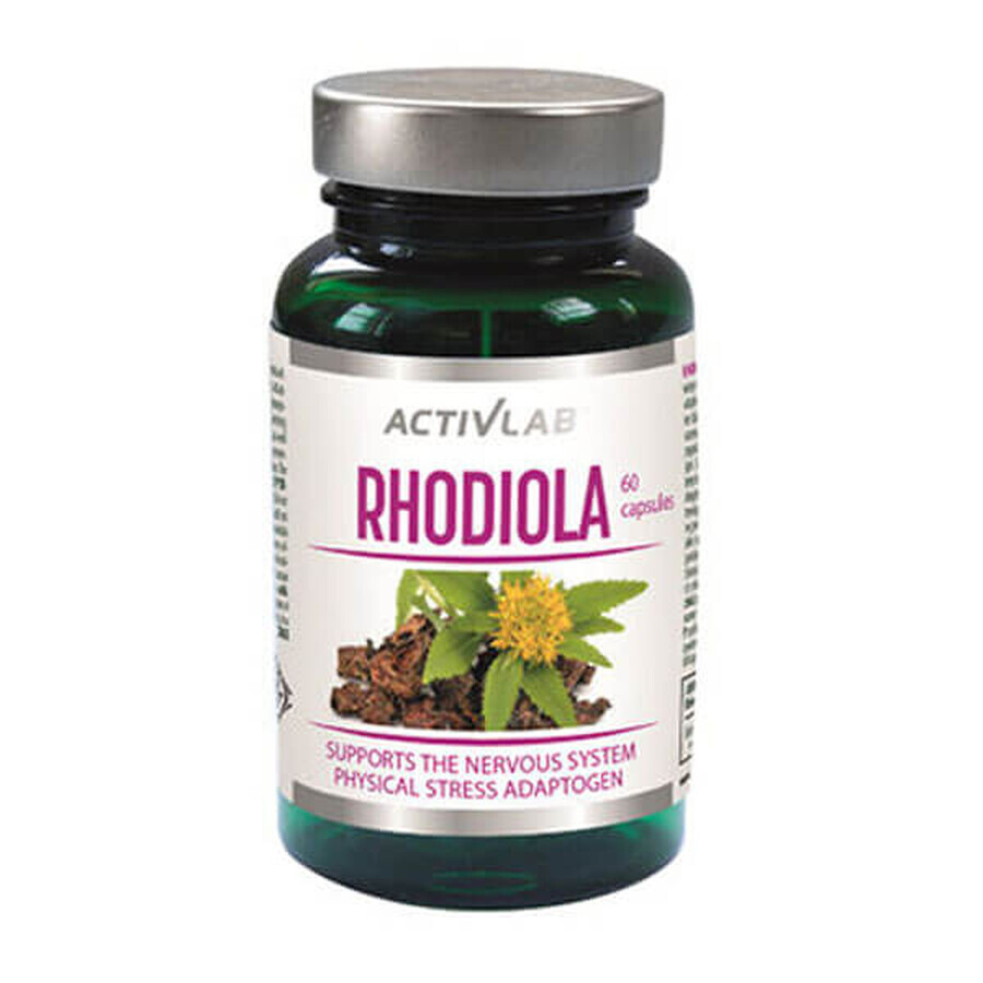 Buy Activlab Pharma Rhodiola, 60 capsules Activlab Pharma Rhodiola, 60 capsules