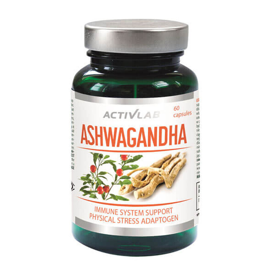 Acquista ActivLab Ashwagandha 03g - Integratore Alimentare, 60 Capsule. ActivLab Ashwagandha 03g - Integratore Alimentare, 60 Capsule.