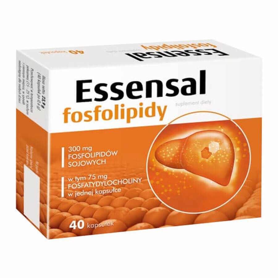 Phospholipides essentiels, 40 gélules