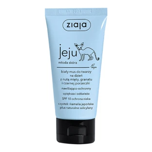 Ziaja Jeju White Moisturizing and Protective Face Foam with Mint, Pomegranate and Blackcurrant Notes, SPF 10, 50ml