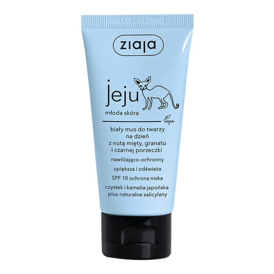 Cumpără Ziaja Jeju, spumă albă de zi, hidratantă și protectoare pentru față, cu note de mentă, rodie și coacăze negre, SPF 10, 50 ml Ziaja Jeju, spumă albă de zi, hidratantă și protectoare pentru față, cu note de mentă, rodie și coacăze negre, SPF 10, 50 ml
