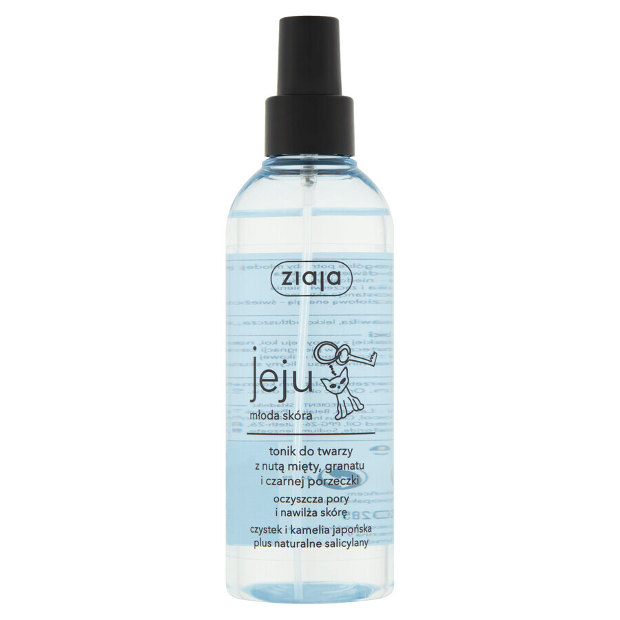 Shop Ziaja Jeju, Gesichtswasser, Porenreiniger und Feuchtigkeitsspender für die Haut, 200 ml Ziaja Jeju, Gesichtswasser, Porenreiniger und Feuchtigkeitsspender für die Haut, 200 ml