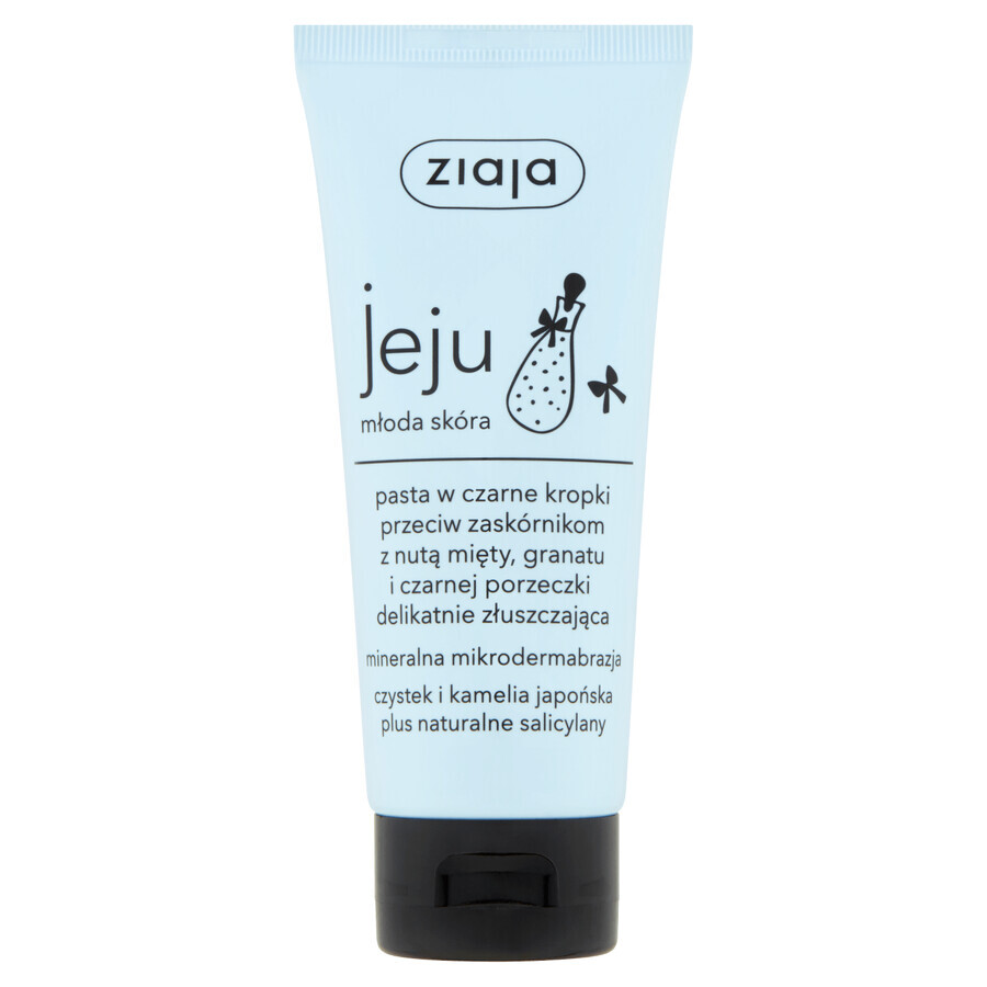 Acquista Ziaja Jeju, pasta anti-punti neri con punti neri, esfoliante delicatamente, 75 ml Ziaja Jeju, pasta anti-punti neri con punti neri, esfoliante delicatamente, 75 ml