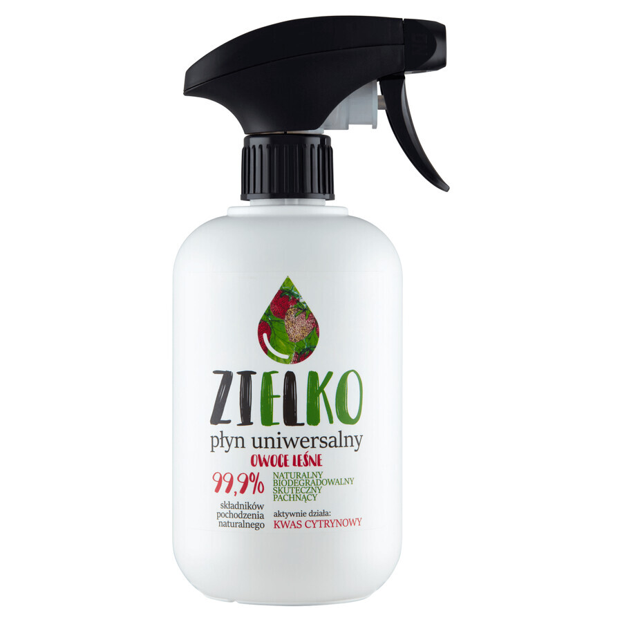 Buy Zielko, multipurpose liquid, berries, 500 ml Zielko, multipurpose liquid, berries, 500 ml