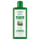 Equilibra Tricologica, Strengthening shampoo against hair loss, 300 ml